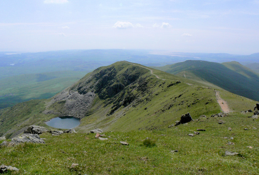 Brown Pike Brown Pike